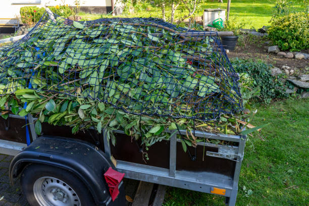 Best Carpet Removal and Disposal  in Martin, TN